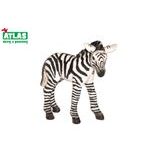 B - Figurka Zebra hříbě 7cm, Atlas, W101820