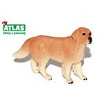 B - Figúrka Zlatý retriever 10 cm, Atlas, W101853