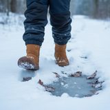 Pantofi de iarnă pentru copii TEX SUEDE Cognac, Froddo, G3160238-2, maro