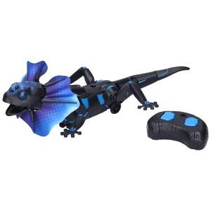 RC kollektor gyík, WIKA RC, W007061