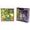 OKTO Energy Art modelare set suculente în cadru de lemn 21x21 cm, OKTO, W031040