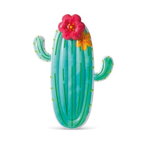 58793EU CACTUS PLUTITOR, INTEX, W034125