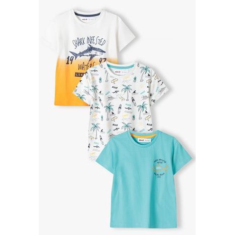 Băieți tricou cu mânecă scurtă 3pack, Minoti, 13tee 42, Boy