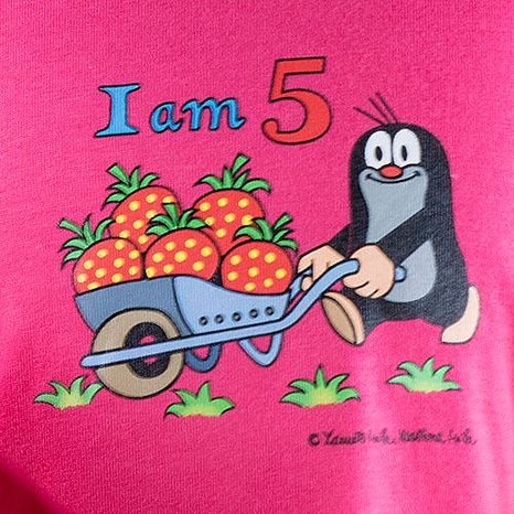 TRIČKO DÍVČÍ KRTEK IAM, PIDILIDI, 2002-04-06-08-10-12, RŮŽOVÁ