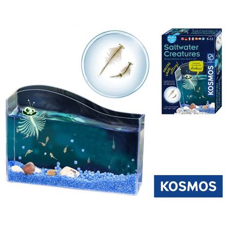 VZDĚLÁVACÍ SADA KOSMOS VODNÍ MAZLÍČEK ŽÁBRONOŽKA SOLNÁ S NÁDRŽÍ