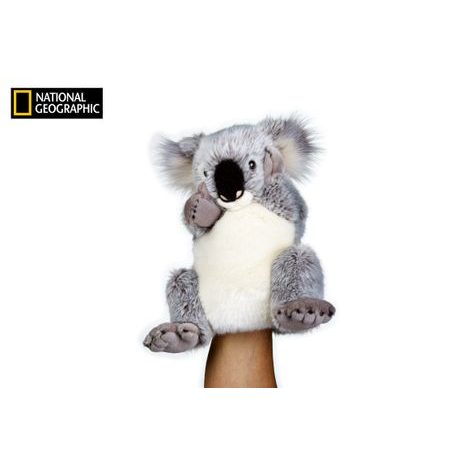 National Geographic Puppy Koala, Nemzeti Földrajzi, W011134