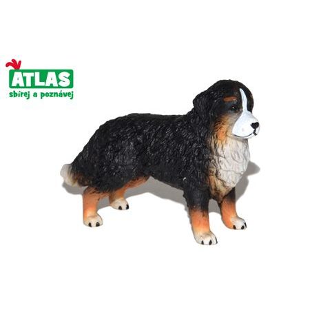 B - Figurin Bernese Mountain Dog 8 cm, Atlas, W101862