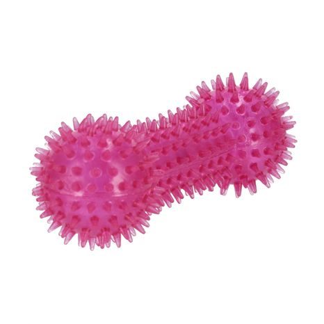 ODOLNÁ PÍSKACÍ KOST PRO PSY Z LEHKÉHO MATERIÁLU ŠETRNÉHO K ZUBŮM