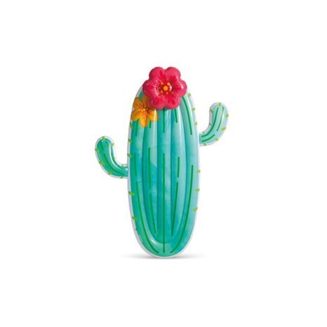58793EU CACTUS PLUTITOR, INTEX, W034125