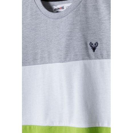 SET PENTRU BĂIEȚI - TRICOU ȘI PANTALONI SCURȚI, MINOTI, 13SET 12, BOY