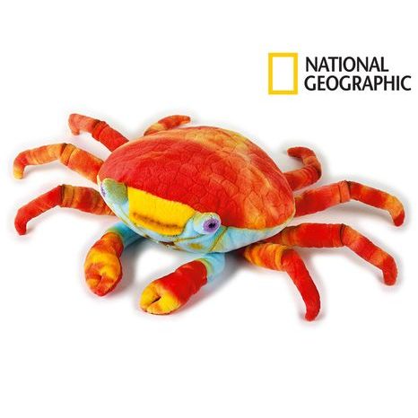 Animale din Galapagos 770803 Crab de lavă 47 cm, National Geographic, W011607