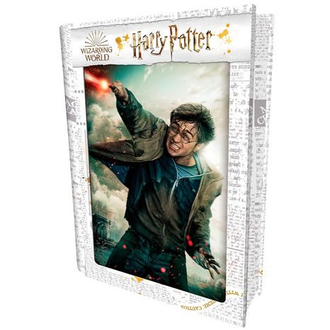 3D PUZZLE Harry Potter-Harry Potter 300db, W019133 