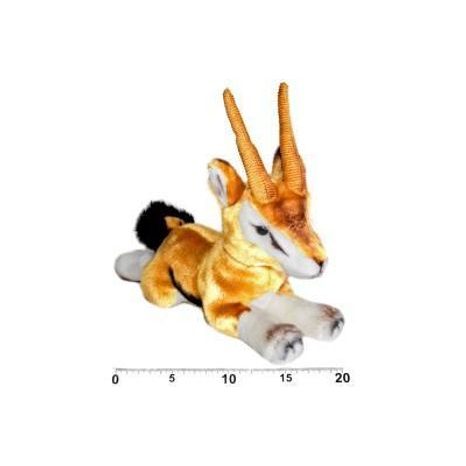 Gazella situată la 30 cm, Wiki, 281005