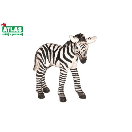 B - Figurin Zebra csikó 7cm, Atlas, W101820