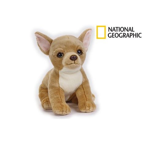 National Geographic Kids Čivava pes 33 cm, W011618