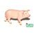 B - Figurina de porc 9 cm, Atlas, W101870