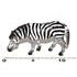 C - Figruka Zebra 11 cm, Atlas, W101878