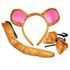 Set karneval - opice, Wiky, W880240