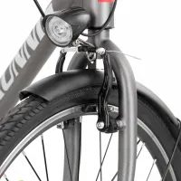 Rower elektryczny - HECHT RUNNIS SHADOW