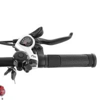 Rower elektryczny - HECHT COMPOS XL GREY