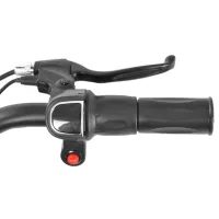 Dziecięcy accu motocykl - HECHT 59150 RED