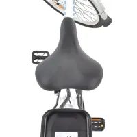 Rower elektryczny - HECHT PRIME WHITE