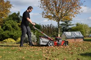 Jak posprzątać opadłe liście jesienią, wkładając w to minimalny wysiłek