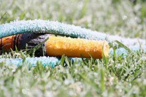 Zbliżają się pierwsze przymrozki – przygotuj ogród na czas