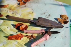 Jak prawidłowo zabezpieczyć narzędzia ogrodowe przed zimą