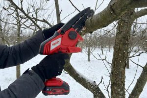 Przycinanie drzew owocowych zimą: Dlaczego luty jest kluczowym miesiącem dla Twojego ogrodu?