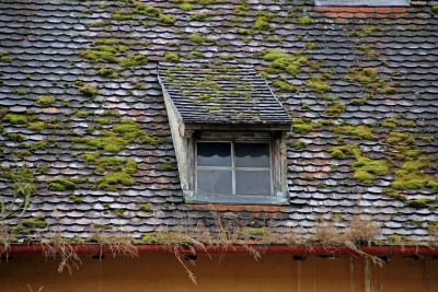 Mech na dachu: piękny, ale niebezpieczny wróg