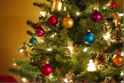 Zachowaj świeżość choinki przez całe Święta Bożego Narodzenia