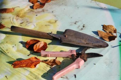 Jak prawidłowo zabezpieczyć narzędzia ogrodowe przed zimą