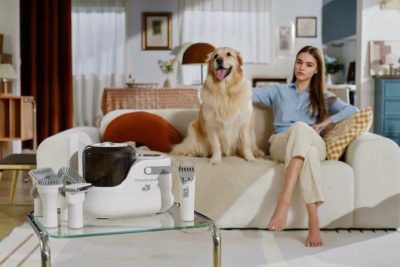 Wiosenne linienie u zwierząt domowych: Jak sobie radzić z czesaniem i pielęgnacją ich futra?