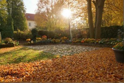 Jesienne sprzątanie ogrodu: Dlaczego ważne jest usuwanie opadłych liści