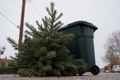 Co zrobić z choinką po świętach?