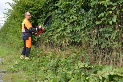 Niezbędne narzędzia do przycinania krzewów i żywopłotów