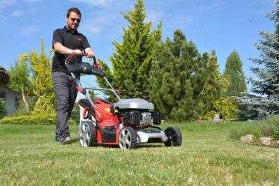 Trawnik nie będzie czekał – czas go skosić!