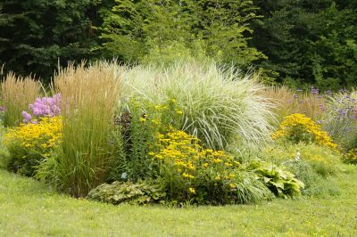 Idealny czas na sadzenie rabat wieloletnich.