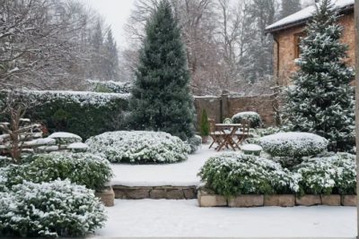 Jak chronić glebę przed erozją zimą?