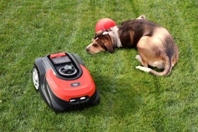 Inteligentna pielęgnacja trawnika: Przestań kosić i zacznij żyć!