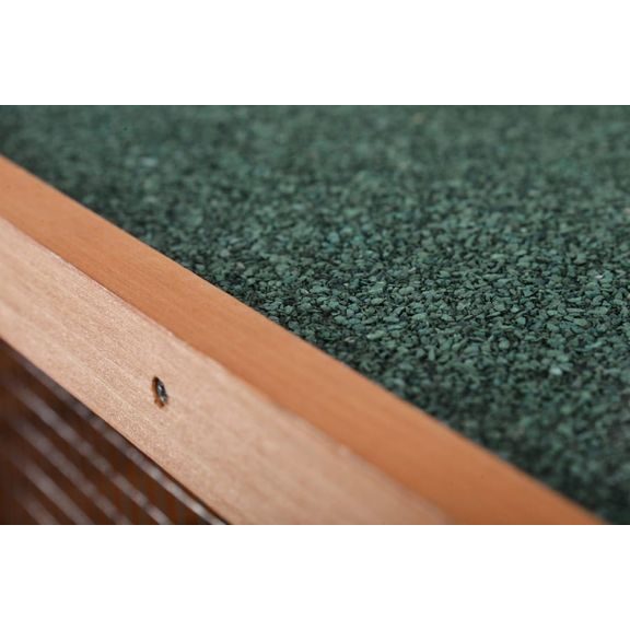 Kurnik dla kur - PROMINENT TWEETY