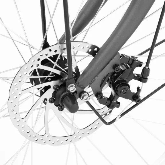 Rower elektryczny - HECHT PRIME GREY
