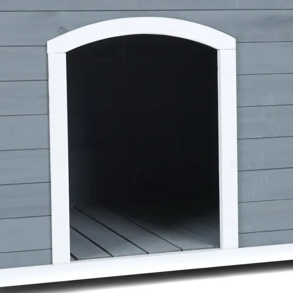 Buda dla psa - PROMINENT DINO