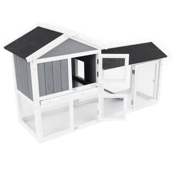 KLATKA DLA KRÓLIKÓW - PROMINENT MOLLY