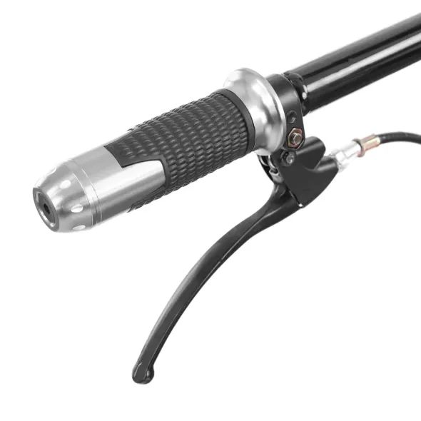 TRANSPORTER ACCU - HECHT 2625