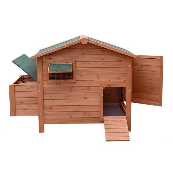 KURNIK DLA KUR - PROMINENT OLIVER