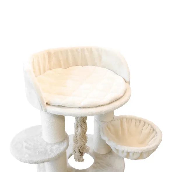 DRAPAK DLA KOTA - PROMINENT PERSIAN B