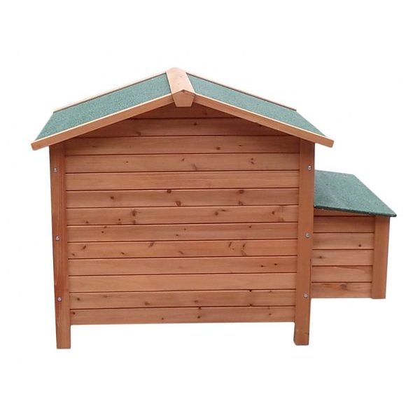 KURNIK DLA KUR - PROMINENT OLIVER