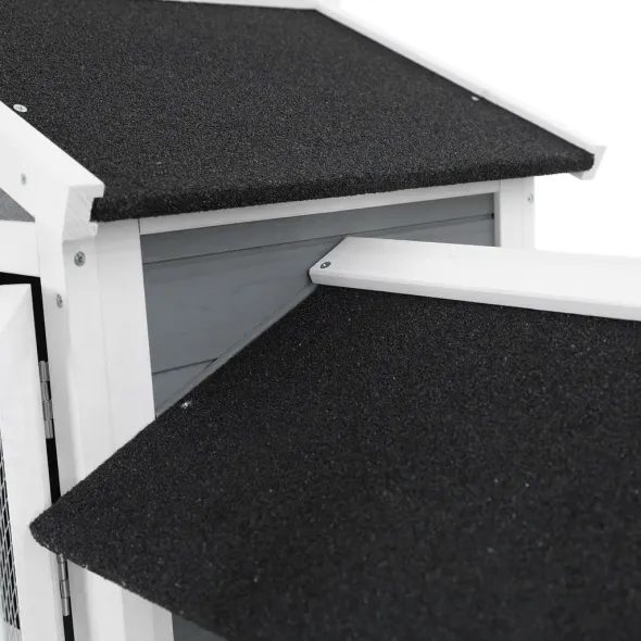 KLATKA DLA KRÓLIKÓW - PROMINENT MOLLY